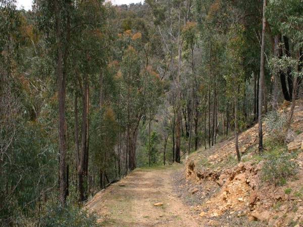 PRIVATE GETAWAY WITH VIEWS Picture 2