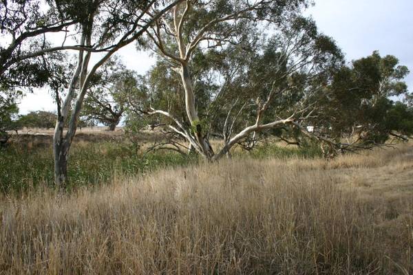 River Frontage Picture 3