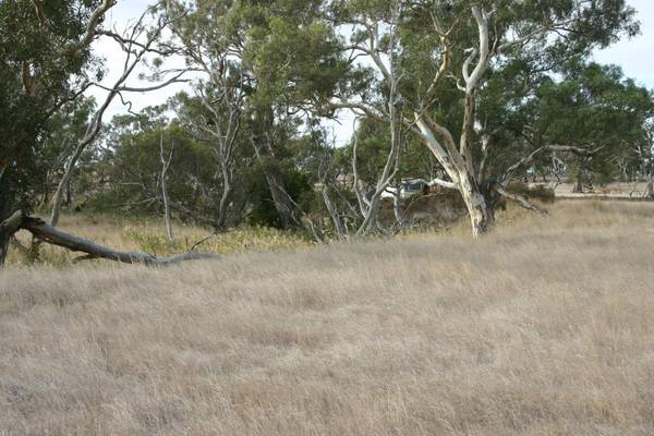 River Frontage Picture 1