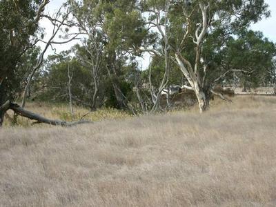 River Frontage Picture