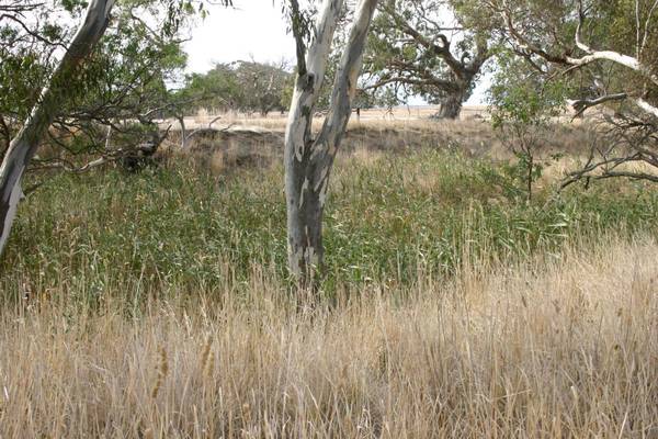 River Frontage Picture 2