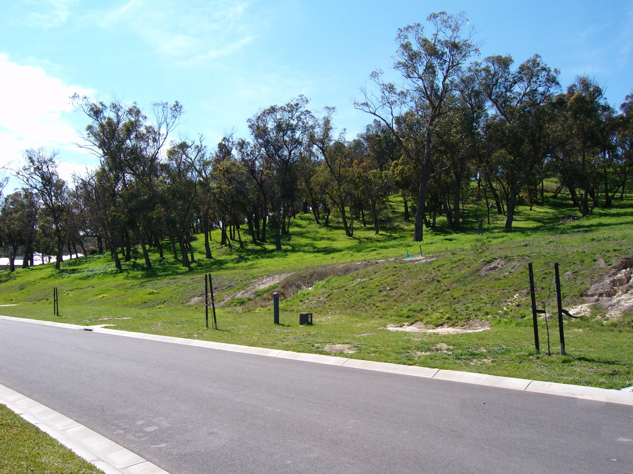 Big Blocks of Land for sale Picture 1