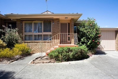 A Cut Above the Rest Picture A Cut Above the Rest Picture