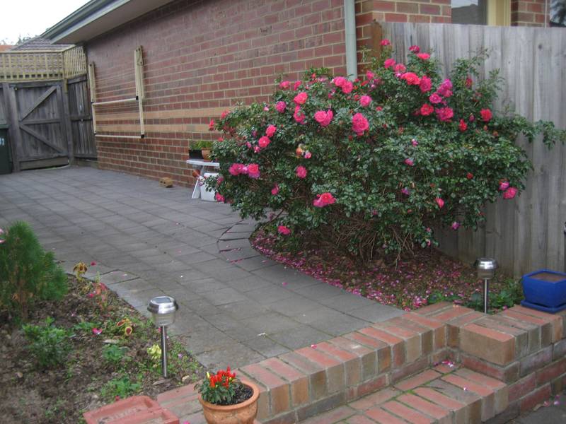 CENTRAL TO EVERYTHING!! Picture CENTRAL TO EVERYTHING!! Picture