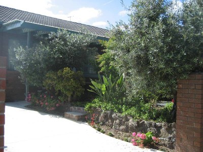 GO ORGANIC IN THIS GARDEN OF EDEN Picture GO ORGANIC IN THIS GARDEN OF EDEN Picture