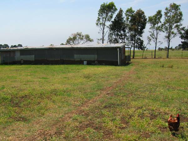 Family home on 30 acres Picture 2