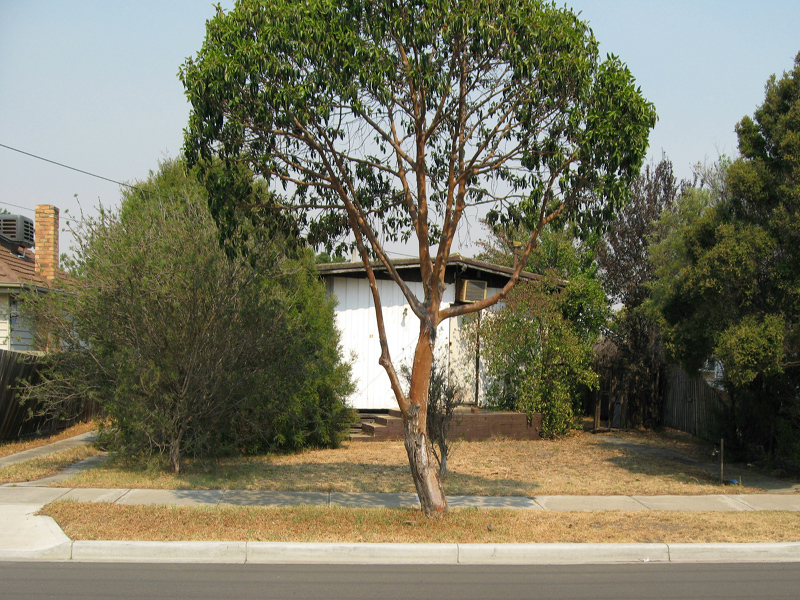 LAND OF OPPORTUNITY Picture 1