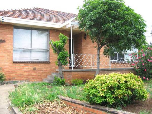 LOOK BEYOND THE ORDINARY Picture 2