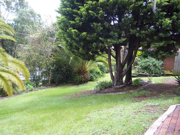 Little Beauty - High on the Hill Picture 2