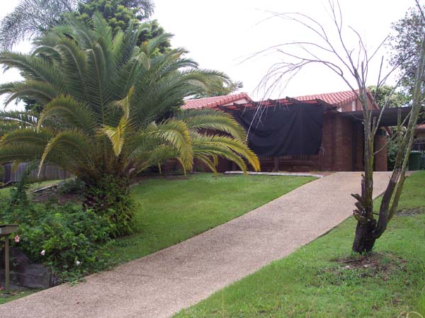 Little Beauty - High on the Hill Picture 1