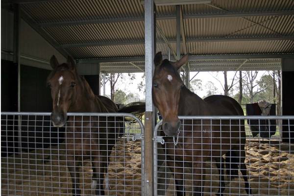 3 acres + bore Picture 3