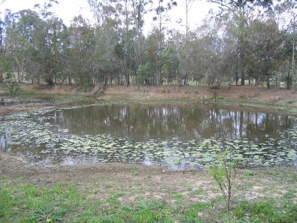 3.3 ACRES 4 BEDROOM MODERN HOME Picture 2