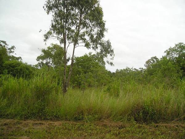 YOU WONT FIND THIS AGAIN Picture YOU WONT FIND THIS AGAIN Picture