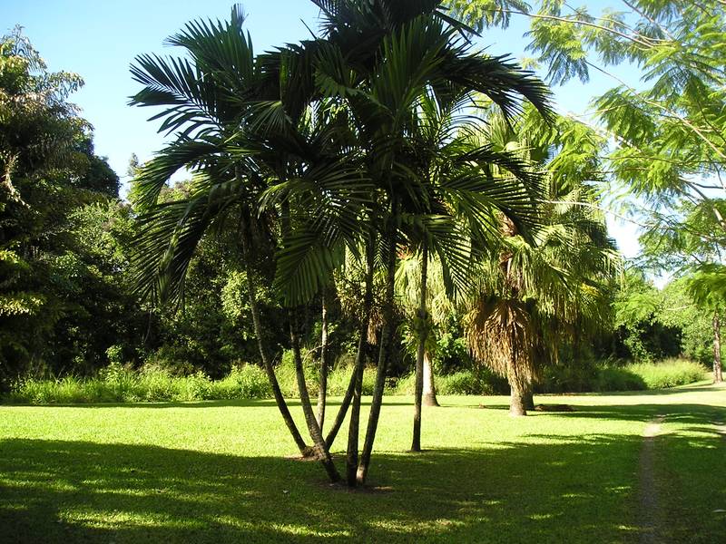 UNTOUCHED MOUNTAIN RETREAT Picture 3