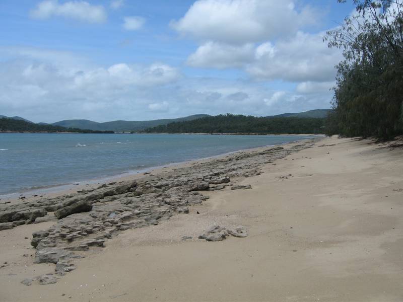 OWNER SAID SELL !! Picture 3