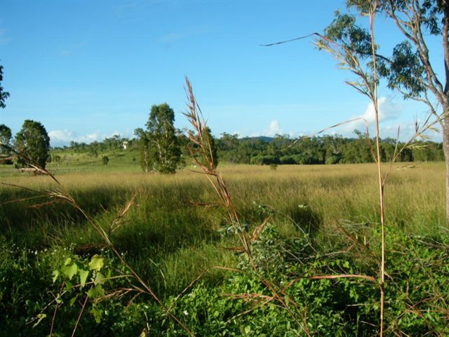 WANT FLAT USEABALE LAND? Picture 2
