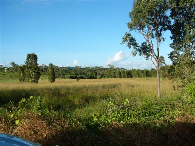 WANT FLAT USEABALE LAND? Picture 1