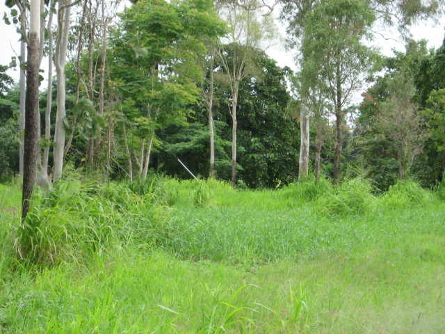 RIVER FRONT ACREAGE Picture