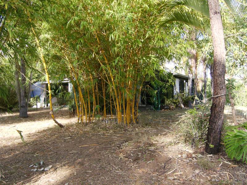WELL HIDDEN RETREAT REDUCED $40,000 Picture 3