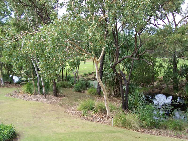 Cascade Unit , Laguna Quays Resort, Only 20 Mins South Proserpine Picture 3
