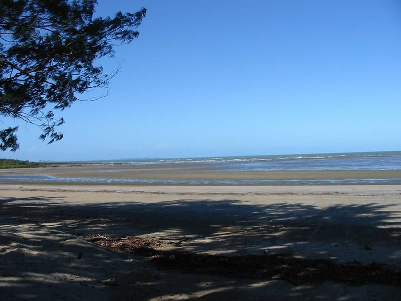 2 X 5 acre BLOCKS AT MIDGE POINT REDUCED $30,000 Picture 2