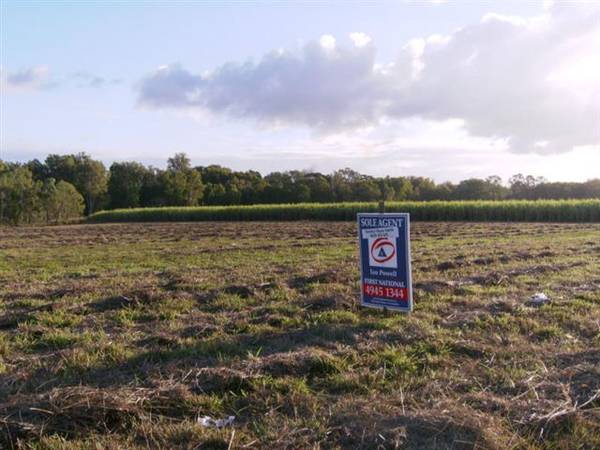 MOUNT JULIAN ACREAGE Picture 3