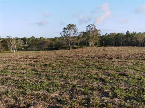 MOUNT JULIAN ACREAGE Picture 2