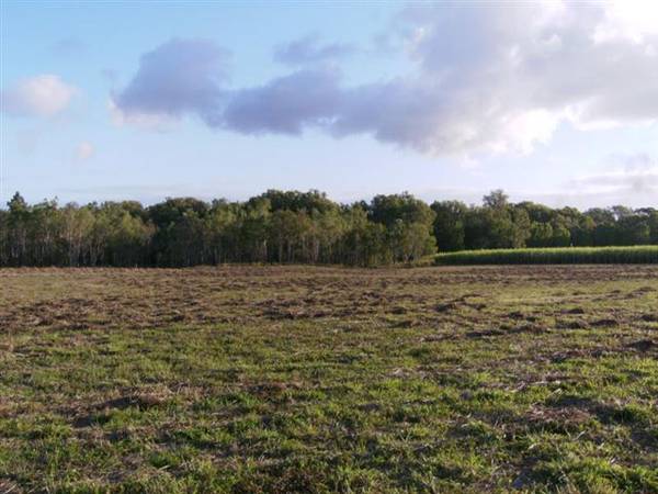 MOUNT JULIAN ACREAGE Picture 1