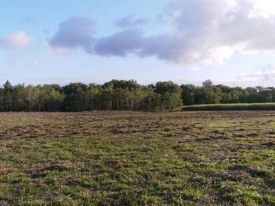 MOUNT JULIAN ACREAGE Picture