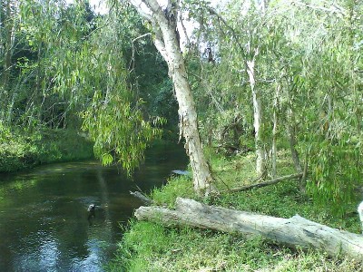 HOP SKIP & FISH Picture HOP SKIP & FISH Picture