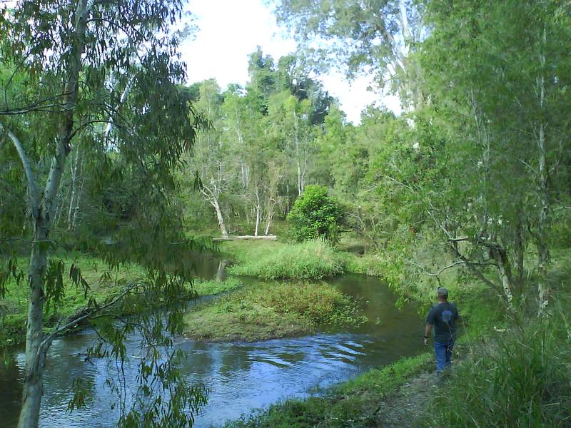 HOP SKIP & FISH Picture 2