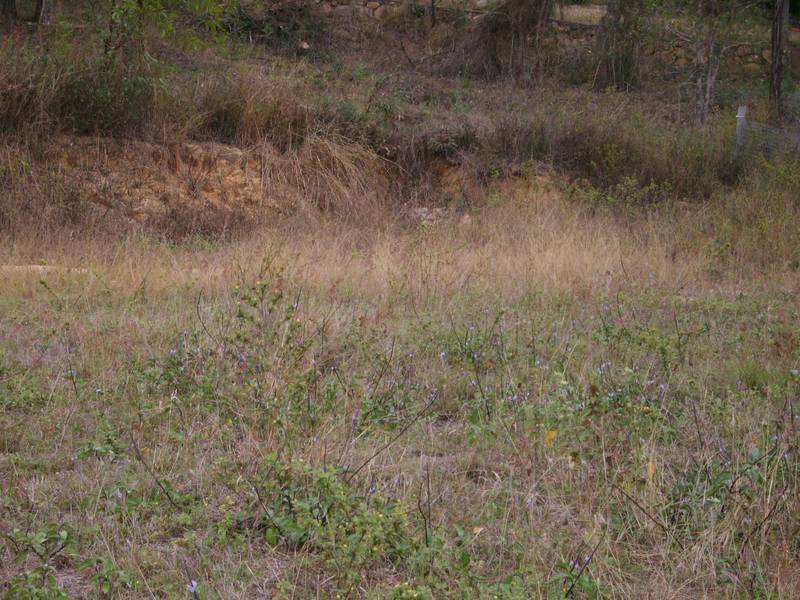 BUILDING BLOCK NEAR THE BEACH Picture 3