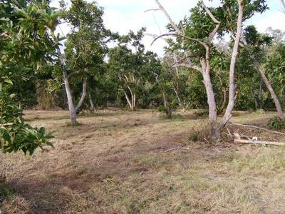5 ACRES WITH OVER
200
MATURE FRUIT TREES Picture 5 ACRES WITH OVER
200
MATURE FRUIT TREES Picture