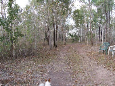 3.02 ACRES LESS THAN 100MTS FROM OCEAN REDUCED FOR QUICK SALE Picture