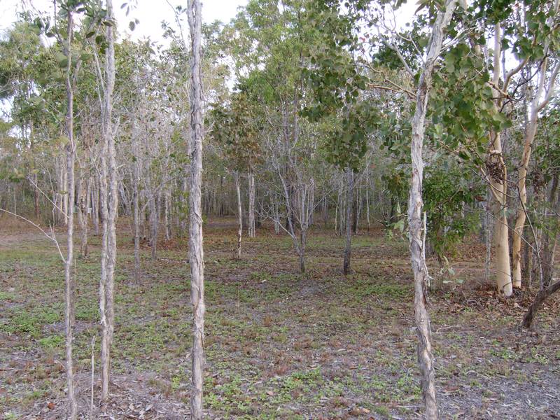 3.02 ACRES LESS THAN 100MTS FROM OCEAN REDUCED FOR QUICK SALE Picture 3