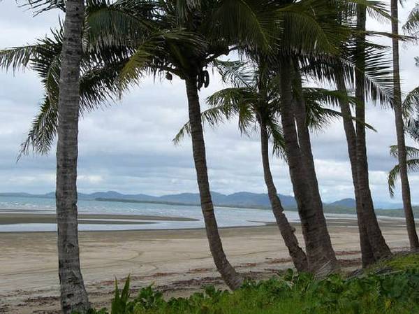 2.8 ACRES
LESS THAN 300 MTS TO OCEAN IN THE WHITSUNDAYS Picture