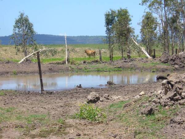 150 ACRES USEABLE LAND Picture 2