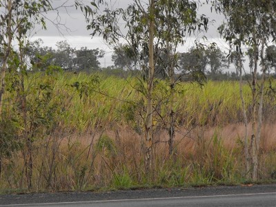 GIBSONS CREEK Lot 6 Bruce Highway Picture
