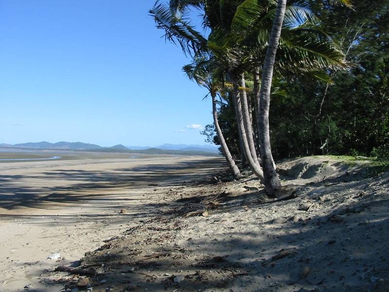 5 ACRES CLOSE TO LOCAL TAVERN AND BEACH Picture 2