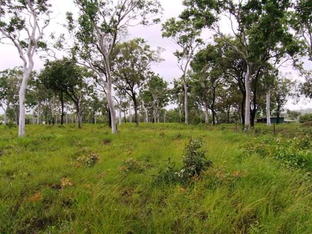 5 ACRES CLOSE TO LOCAL TAVERN AND BEACH Picture 1