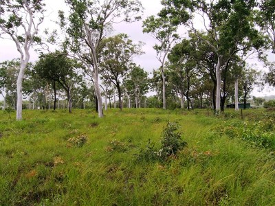 5 ACRES CLOSE TO LOCAL TAVERN AND BEACH Picture