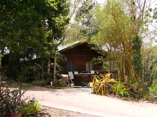 HIDDEN TREASURE Picture 2