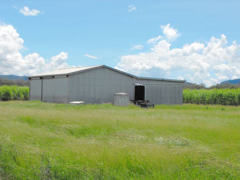 CRYSTALBROOK IRRIGATION FARM PROSERPINE Picture 3