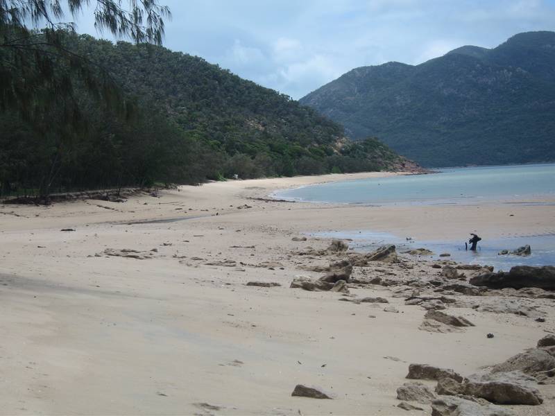 REDUCED $10,000 5 ACRES NEAR THE BEACH!! Picture 2