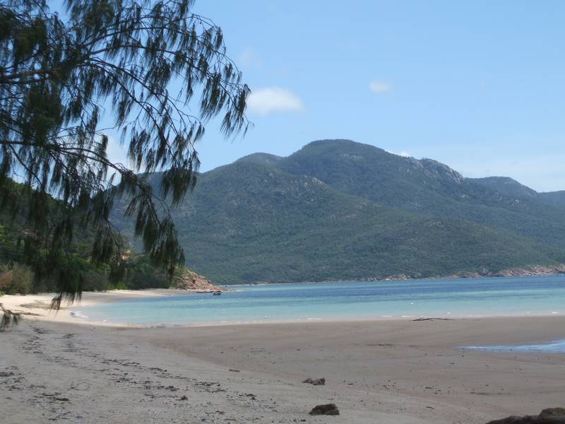 LAND 100mtrs FROM BEACH -
HIDEAWAY BAY Picture 2