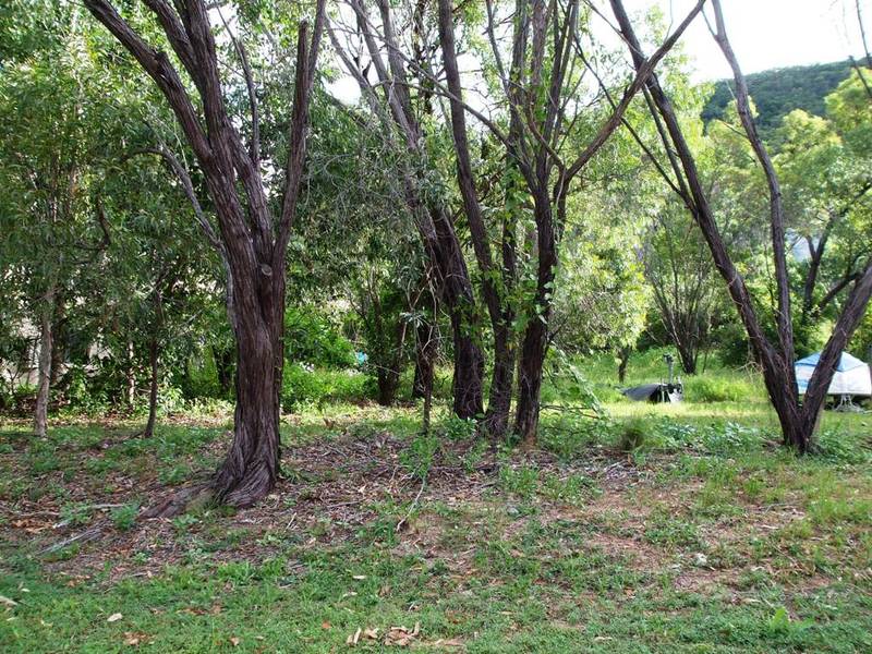 LAND 100mtrs FROM BEACH -
HIDEAWAY BAY Picture 3