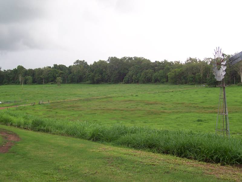 FIRST CLASS CATTLE BREEDING & FATTENING PROPERTY Picture 3