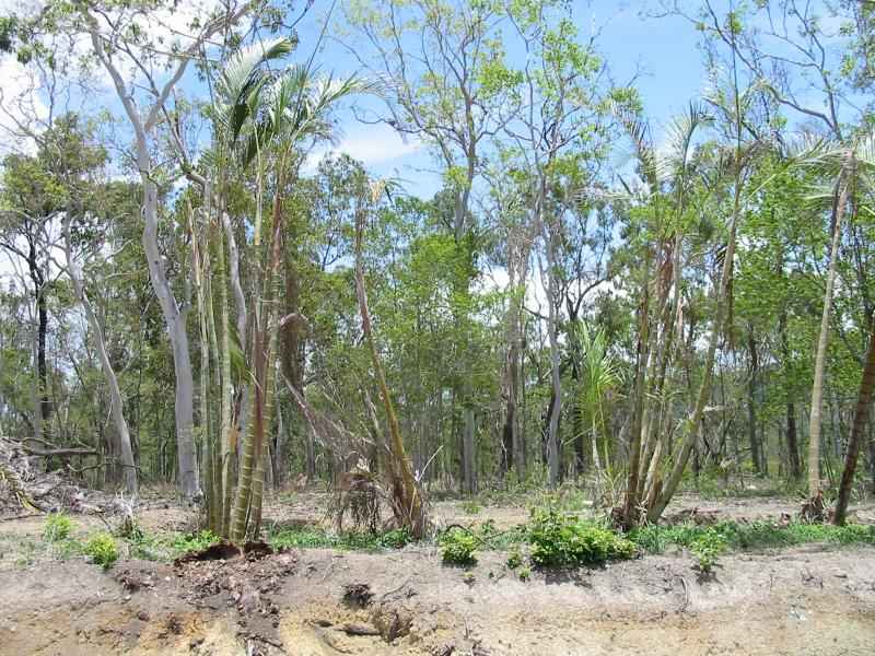 SUGARLOAF VIEWS ESTATE Picture 1