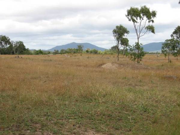 HOBBY FARM OR INVESTMENT Picture 2