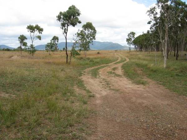 HOBBY FARM OR INVESTMENT Picture 3